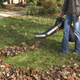 Worx Electric TriVac, $70